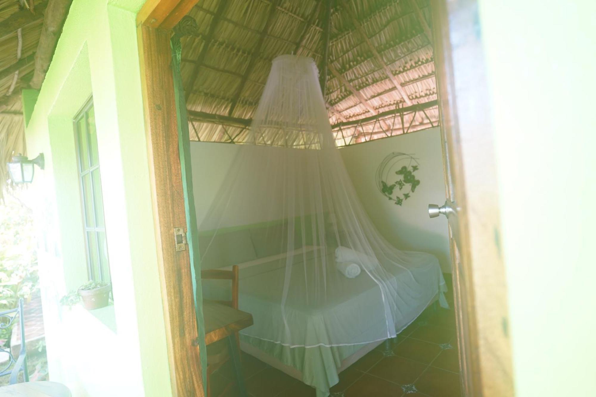 Hotel Mariposa León Eksteriør billede