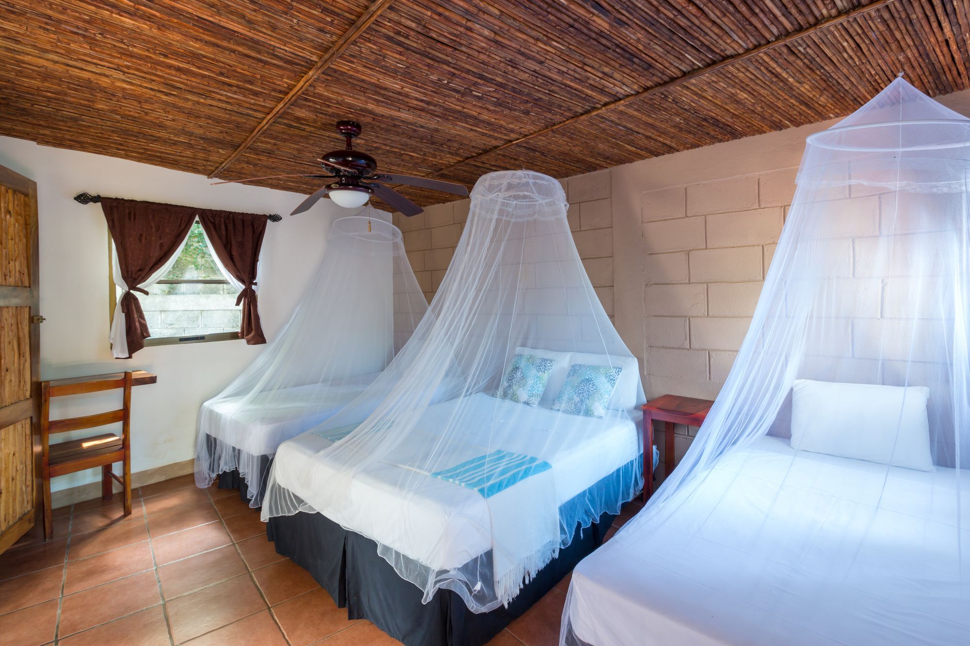 Hotel Mariposa León Eksteriør billede